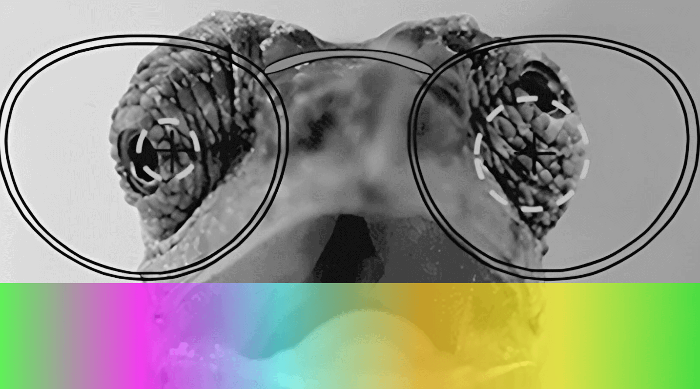 Proporre ed approntare l’occhiale progressivo nell’anisometrope: l’arte invisibile dell’Ottico Optometrista 